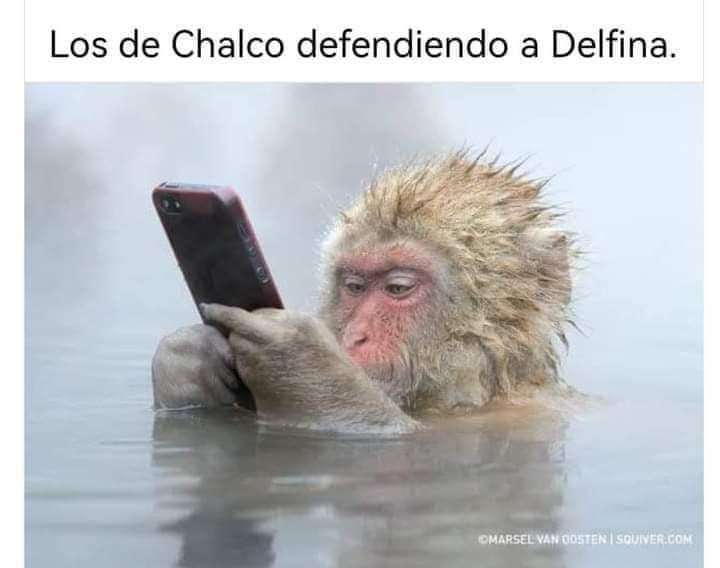 Defendiendo a Delfina 