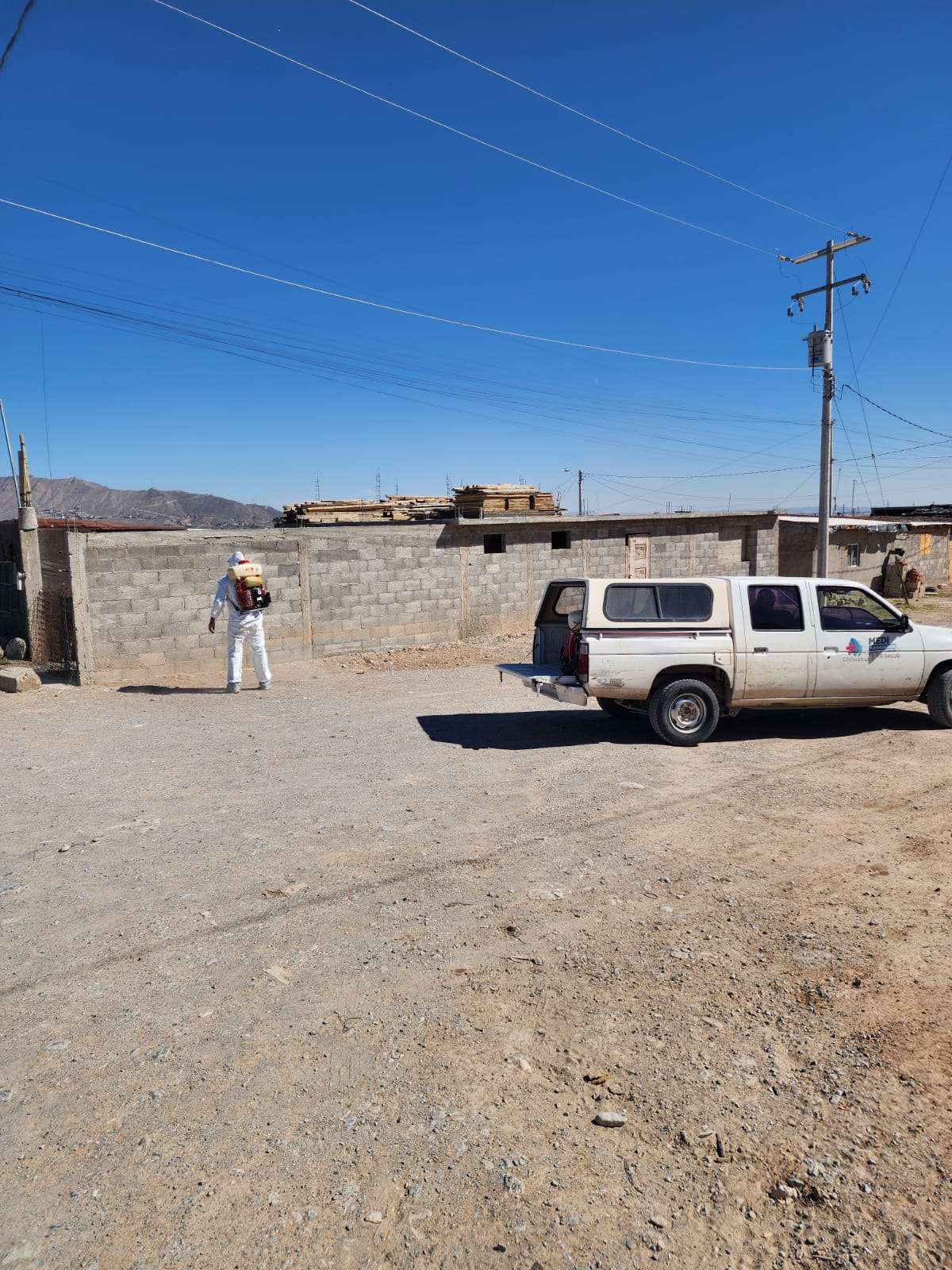 Enfrenta Juárez casos graves de Rickettsia, investiga sector salud 