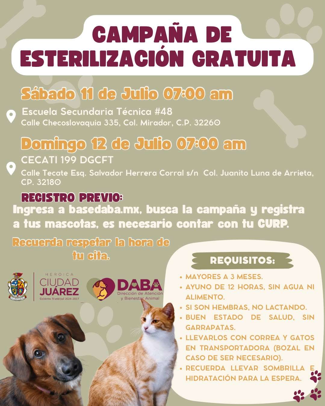 Ofrecen esterilización gratuita para mascotas hoy y mañana