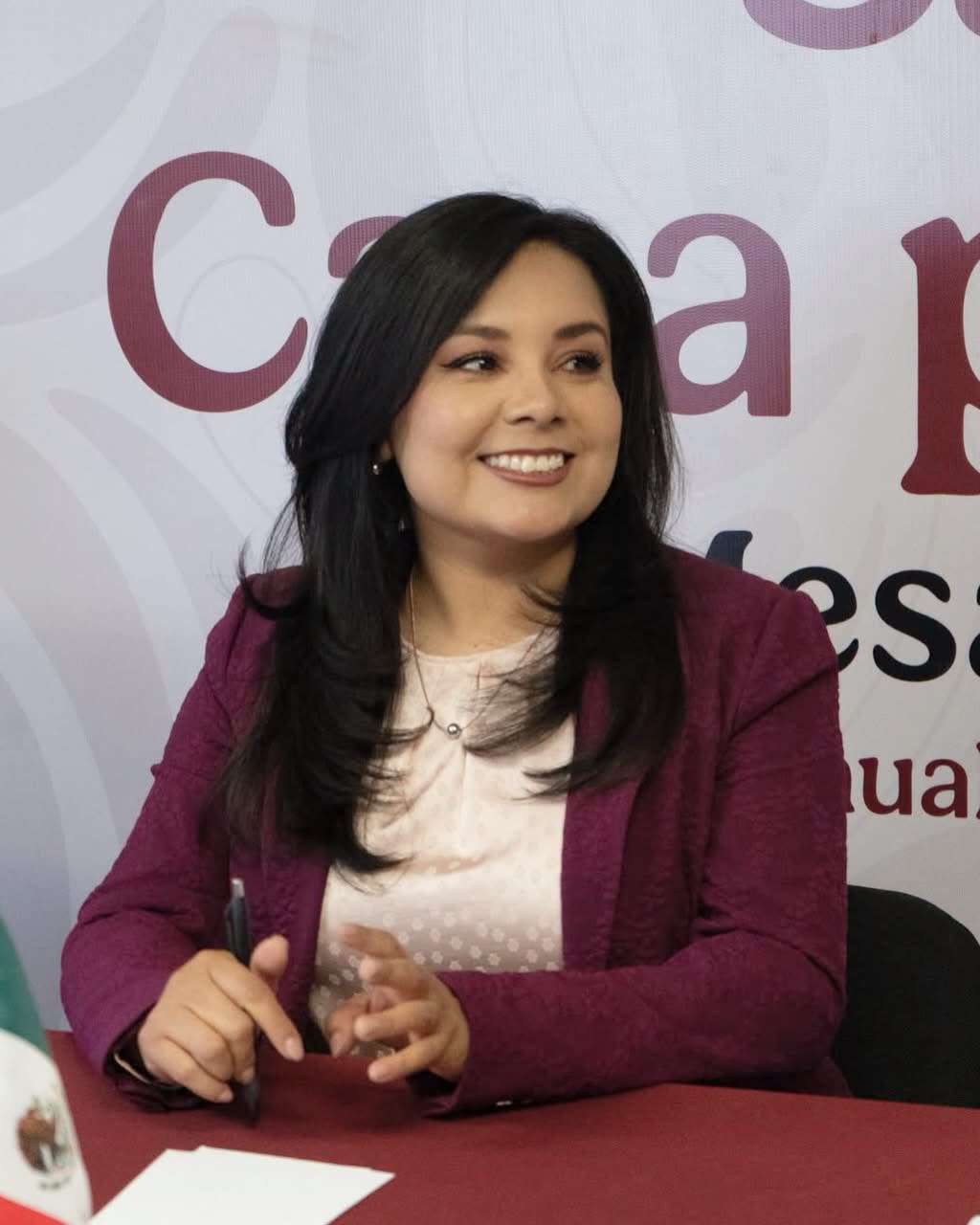 Estoy concentrada en los programas del Bienestar: Mayra Chávez