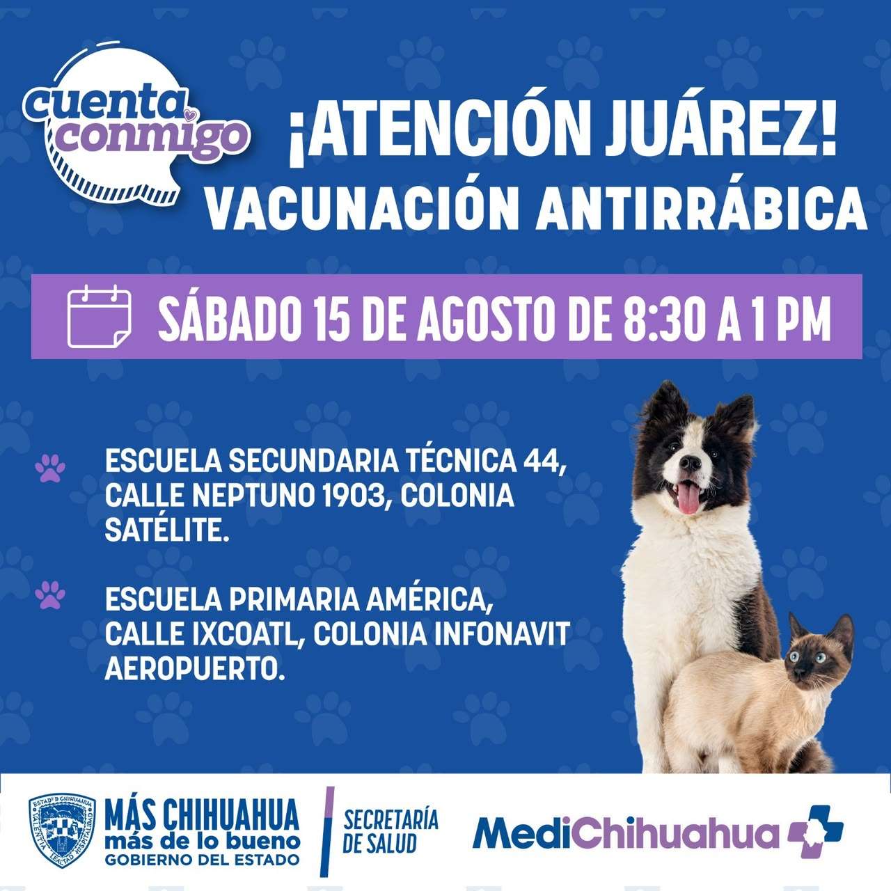 Invitan a jornada de vacunación antirrábica para mascotas