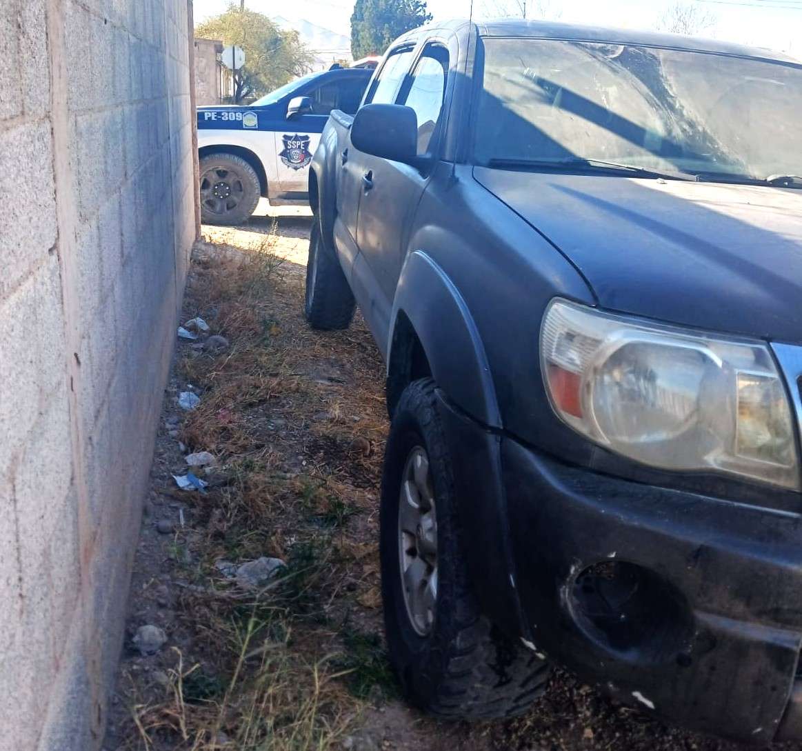 [Estatales gandallas]